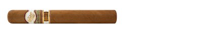 Padron Damaso No.15